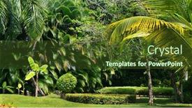 Presentation with coconut tree - Amazing presentation design having tropical-green-forest-summer-green backdrop and a tawny brown colored foreground