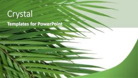  Presentation with green leaf - Slide deck having tropical-green-leaves-summer-green background and a tawny brown colored foreground