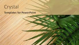  Presentation with green leaf - Presentation theme with tropical-green-leaves-summer-green background and a yellow colored foreground