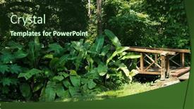  Presentation with green leaf - Audience pleasing PPT theme consisting of tropical-green-leaves-summer-green backdrop and a tawny brown colored foreground