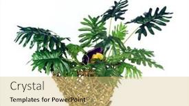  Presentation with green leaf - PPT layouts featuring tropical-green-leaves-summer-green background and a yellow colored foreground