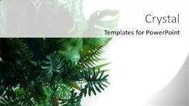  Presentation with green coconut - Slide deck enhanced with tropical-green-leaves-summer-green background and a white colored foreground