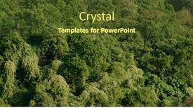  Presentation with plant - Presentation design enhanced with tropical-green-plant-on-mountain background and a tawny brown colored foreground