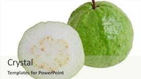  Presentation with tropical fruit - Audience pleasing PPT theme consisting of tropical guava fruit isolated backdrop and a soft green colored foreground