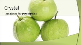  Presentation with guava fruits - Slide set enhanced with tropical guava fruits on white background and a soft green colored foreground