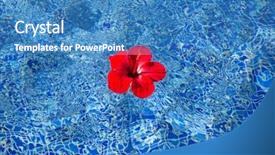  Presentation with hibiscus flower - Amazing slide deck having tropical hibiscus flower floating backdrop and a teal colored foreground