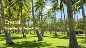  Presentation with polynesia - Beautiful theme featuring tropical island in french polynesia backdrop and a tawny brown colored foreground