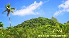  Presentation with tropical wedding anniversary - Colorful theme enhanced with tropical-landscape-near-petite-anse backdrop and a tawny brown colored foreground