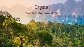  Presentation with tropical top view summer botanical - PPT theme consisting of tropical landscape phi-phi island background and a lemonade colored foreground