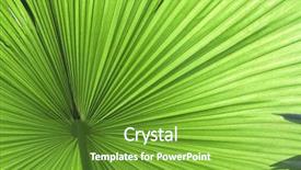  Presentation with tropical rainforest - Beautiful slides featuring tropical leaf green background texture backdrop and a tawny brown colored foreground