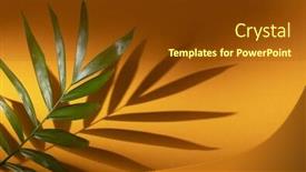  Presentation with yellow paper - PPT layouts with tropical-leaf-on-yellow-paper background and a tawny brown colored foreground