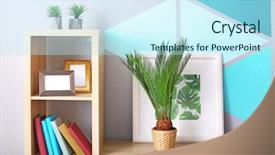  Presentation with sago - PPT theme consisting of tropical leaves on bookcase background and a arctic colored foreground