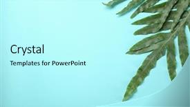  Presentation with green color - Slide deck consisting of tropical leaves on color background background and a cool aqua colored foreground