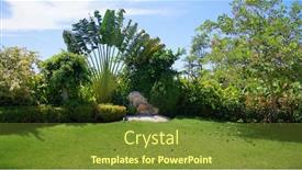  Presentation with palm leaves - Presentation design having tropical-leaves-tropical-tree-palm background and a tawny brown colored foreground