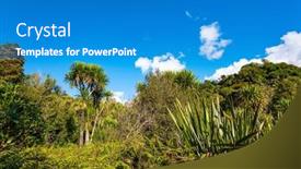  Presentation with new river valley virginia - Presentation theme with tropical-lush-vegetation-around background and a teal colored foreground