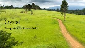  Presentation with meadow - Amazing slide deck having tropical meadow under dramatic stormy backdrop and a gold colored foreground