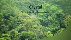  Presentation with jungle - Colorful presentation design enhanced with tropical mountain - jungle in morning backdrop and a seafoam green colored foreground