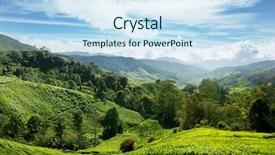  Presentation with tea plantation - Amazing PPT theme having hexagonal snowflakes elements as tree limb closeup in blue space backdrop and a teal colored foreground