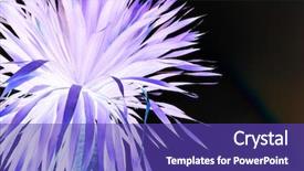  Presentation with neon - Audience pleasing presentation theme consisting of nature in neon colors background backdrop and a violet colored foreground