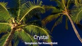 Presentation with moon trees - Presentation theme enhanced with nightsky - tropical night sky palm trees background and a navy blue colored foreground