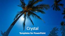  Presentation with night sky moon - Slides consisting of tropical night sky palm trees background and a teal colored foreground
