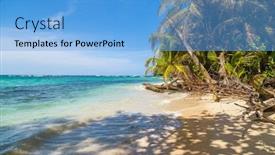  Presentation with tropical - Cool new PPT theme with tropical-ocean-beach-with-trees backdrop and a light blue colored foreground