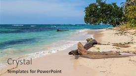  Presentation with costa rica - PPT layouts enhanced with tropical-ocean-beach-with-trees background and a soft green colored foreground
