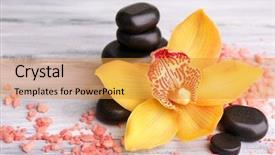  Presentation with tropical flowers - Slide deck consisting of  background and a  colored foreground