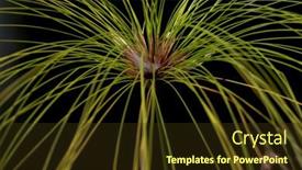  Presentation with plant - PPT theme featuring tropical-ornamental-grass-plant background and a tawny brown colored foreground