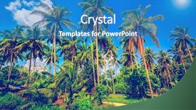  Presentation with krabi - Presentation featuring tropical palm plantation in ao background and a teal colored foreground