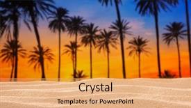  Presentation with tropical beach sunset - Beautiful slide set featuring tropical palm tree sunset sky backdrop and a yellow colored foreground