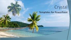  Presentation with hang - Colorful PPT theme enhanced with tropical-palm-trees-hang-over backdrop and a light blue colored foreground
