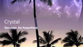  Presentation with palm - Slide set enhanced with tropical-palm-trees-silhouette-sunset background and a  colored foreground