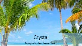  Presentation with palm beach - Amazing PPT theme having tropical palm trees backdrop and a light blue colored foreground