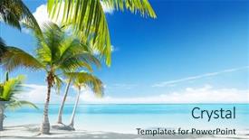  Presentation with coconut - Beautiful slides featuring tropical paradise - caribbean sea and coconut palms backdrop and a sky blue colored foreground