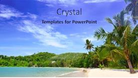  Presentation with palm beach - PPT layouts consisting of tropical-paradise-beach-palm-tree background and a  colored foreground