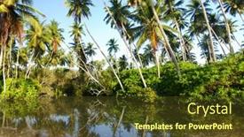  Presentation with reflecting - Audience pleasing theme consisting of tropical-paradise-on-sri-lanka backdrop and a tawny brown colored foreground