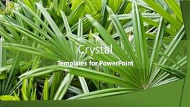  Presentation with green-leaves - Presentation theme consisting of tropical-plant-background-of-green background and a tawny brown colored foreground