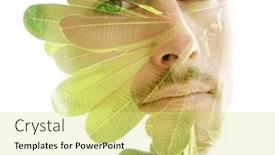  Presentation with tropical - Slide deck with tropical-plant-combined background and a yellow colored foreground