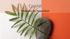  Presentation with orange plant - Presentation theme consisting of tropical-plant-leaf-and-pebble background and a coral colored foreground