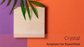  Presentation with orange plant - Presentation theme featuring tropical-plant-leaf-and-wooden background and a red colored foreground