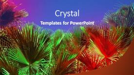  Presentation with neon - Presentation having tropical-plants-in-neon-lights background and a cobalt blue colored foreground