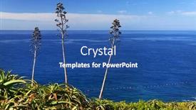  Presentation with europe - Beautiful slide set featuring tropical-plants-on-southern-coast backdrop and a ocean colored foreground