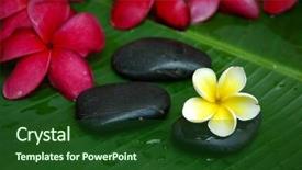  Presentation with plumeria - Audience pleasing presentation theme consisting of tropical plumeria as seen in a spa backdrop and a forest green colored foreground