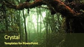  Presentation with rain - Beautiful PPT layouts featuring tropical rain forest backdrop and a tawny brown colored foreground