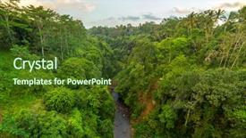  Presentation with tropical rainforest - PPT theme consisting of tropical rainforest in bali indonesia background and a  colored foreground