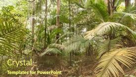  Presentation with tropical rainforest - Cool new PPT layouts with tropical rainforest wide angle shot backdrop and a tawny brown colored foreground