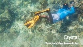  Presentation with tropical reef fish - Slides having tropical reef with blue background background and a  colored foreground