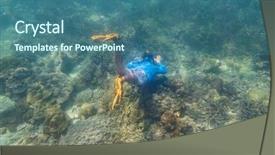  Presentation with tropical reef fish - Slides enhanced with tropical reef with blue background background and a  colored foreground