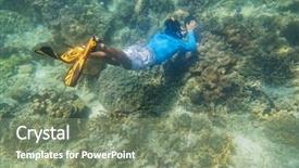  Presentation with tropical reef fish - Amazing slide set having tropical reef with blue background backdrop and a  colored foreground